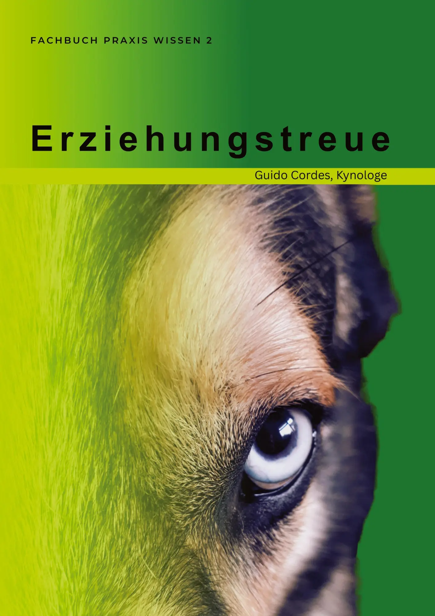 Cover: 9783384794451 | Erziehungstreue | Fachbuch Praxis Wissen 2 | Guido Cordes | Buch
