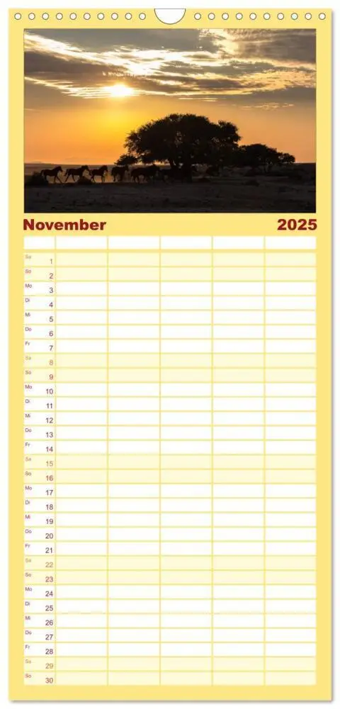 Bild: 9783457114551 | Familienplaner 2025 - Wildes Namibia mit 5 Spalten (Wandkalender,...