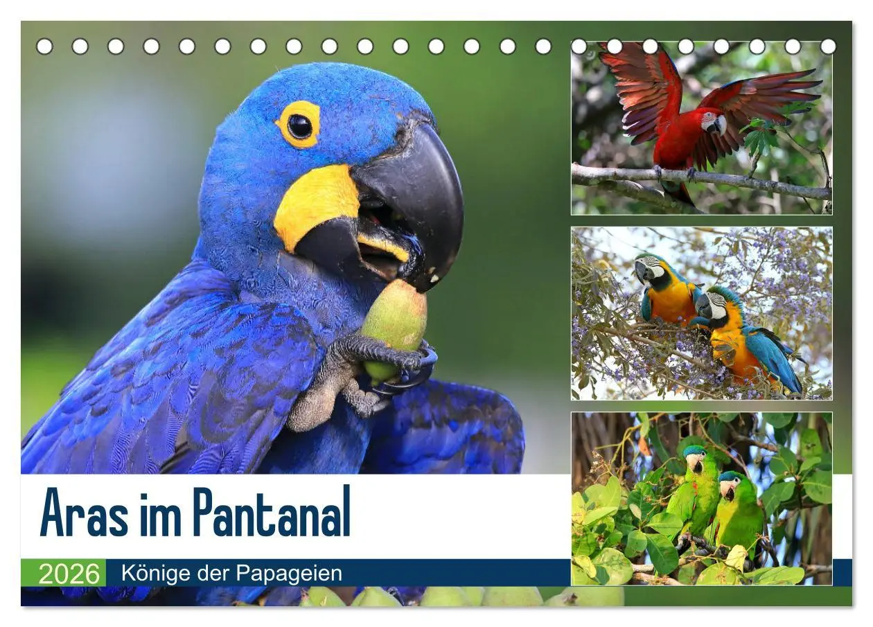 Cover: 9783457804551 | Aras im Pantanal (Tischkalender 2026 DIN A5 quer), CALVENDO...