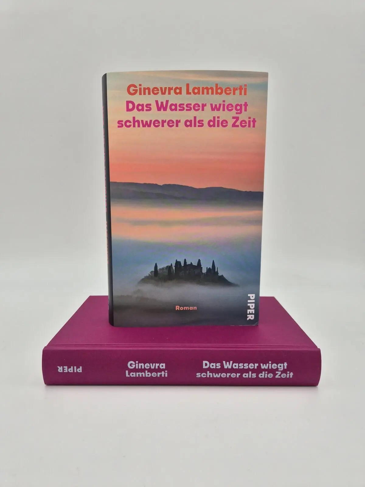 Bild: 9783492074551 | Das Wasser wiegt schwerer als die Zeit | Ginevra Lamberti | Buch