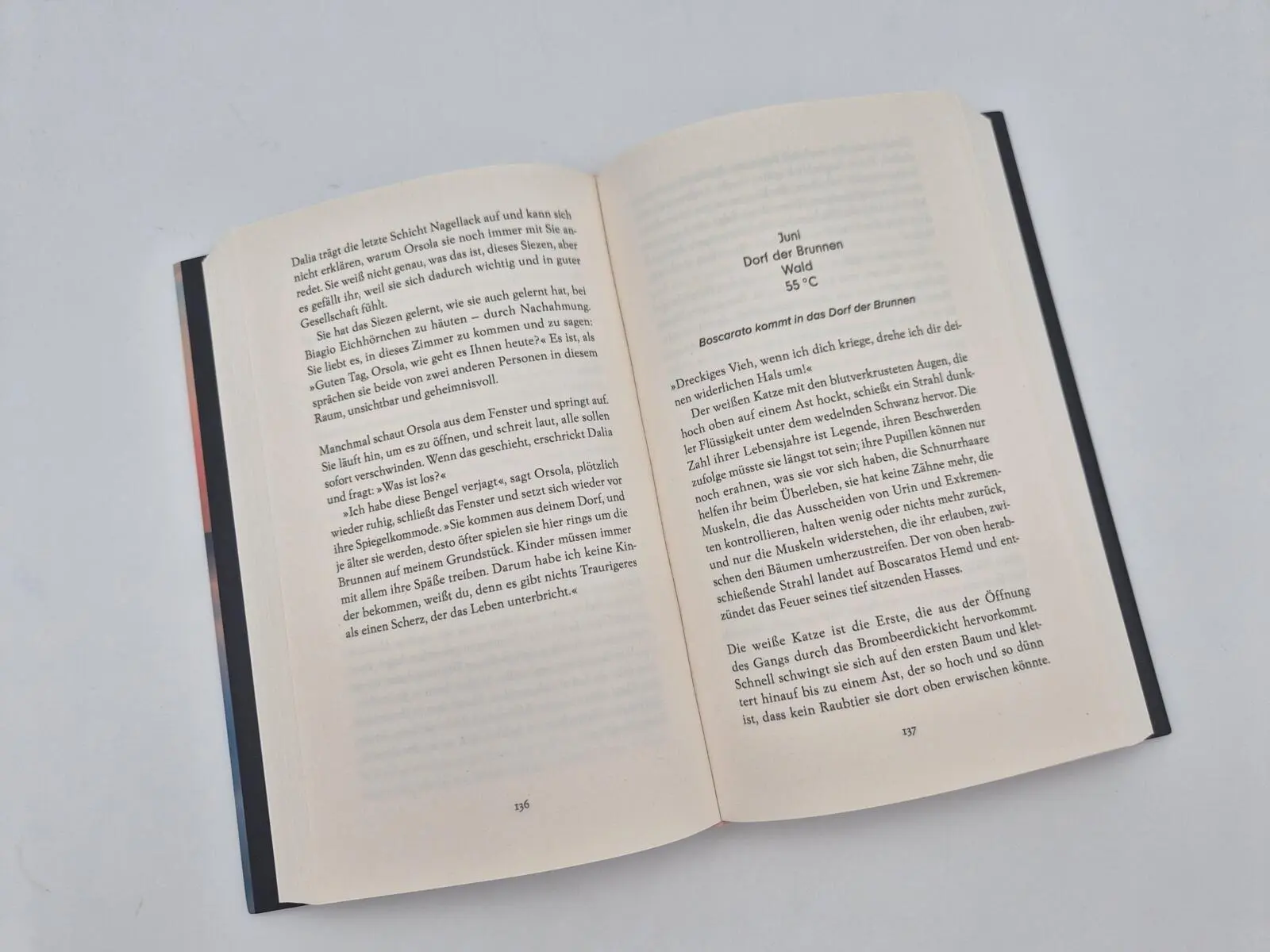 Bild: 9783492074551 | Das Wasser wiegt schwerer als die Zeit | Ginevra Lamberti | Buch