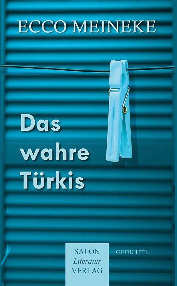 Cover: 9783947404551 | Das wahre Türkis | Ecco Meineke | Buch | Deutsch | 2026