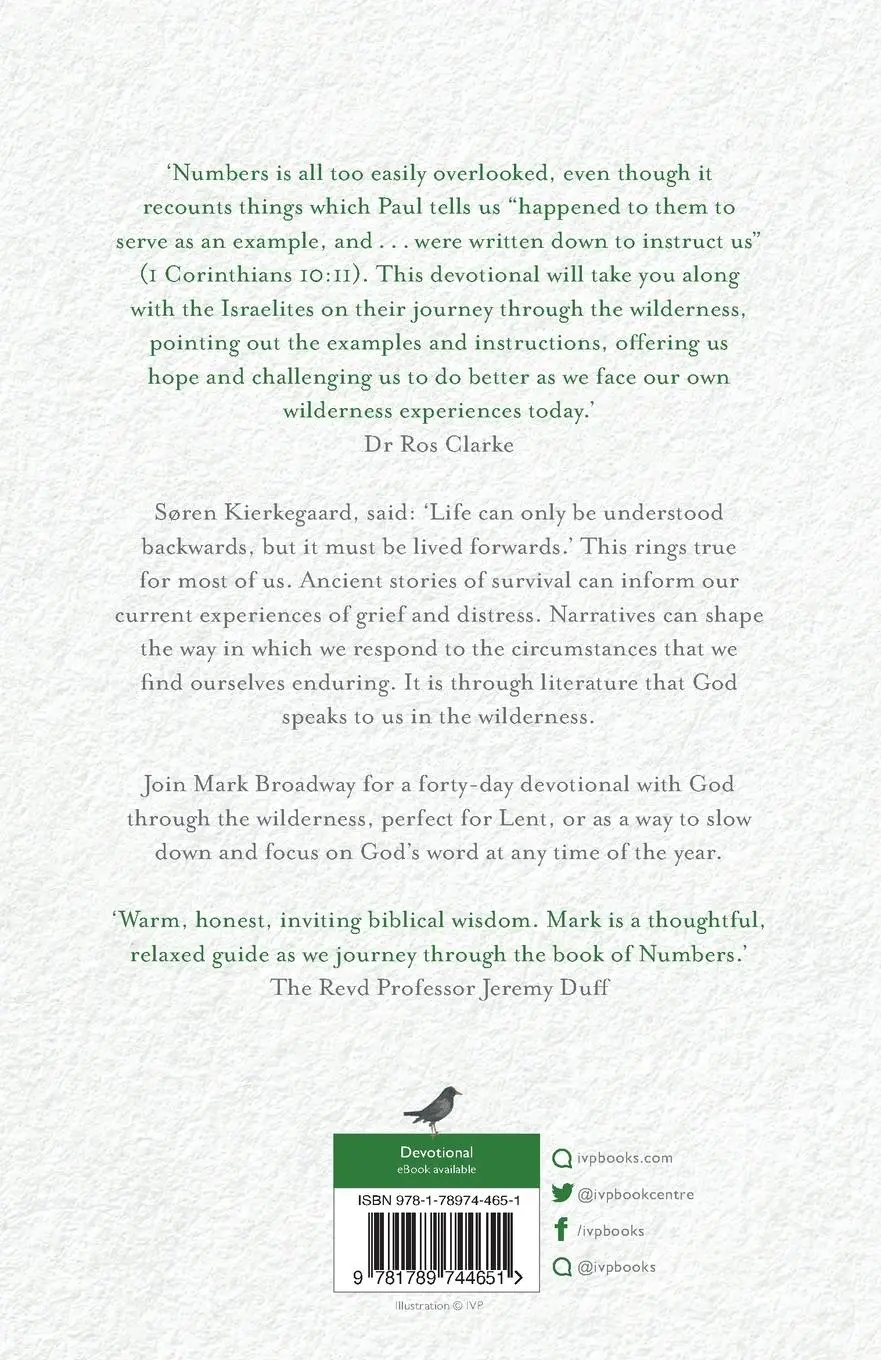 Rückseite: 9781789744651 | Journeying with God in the Wilderness | Mark Broadway | Taschenbuch