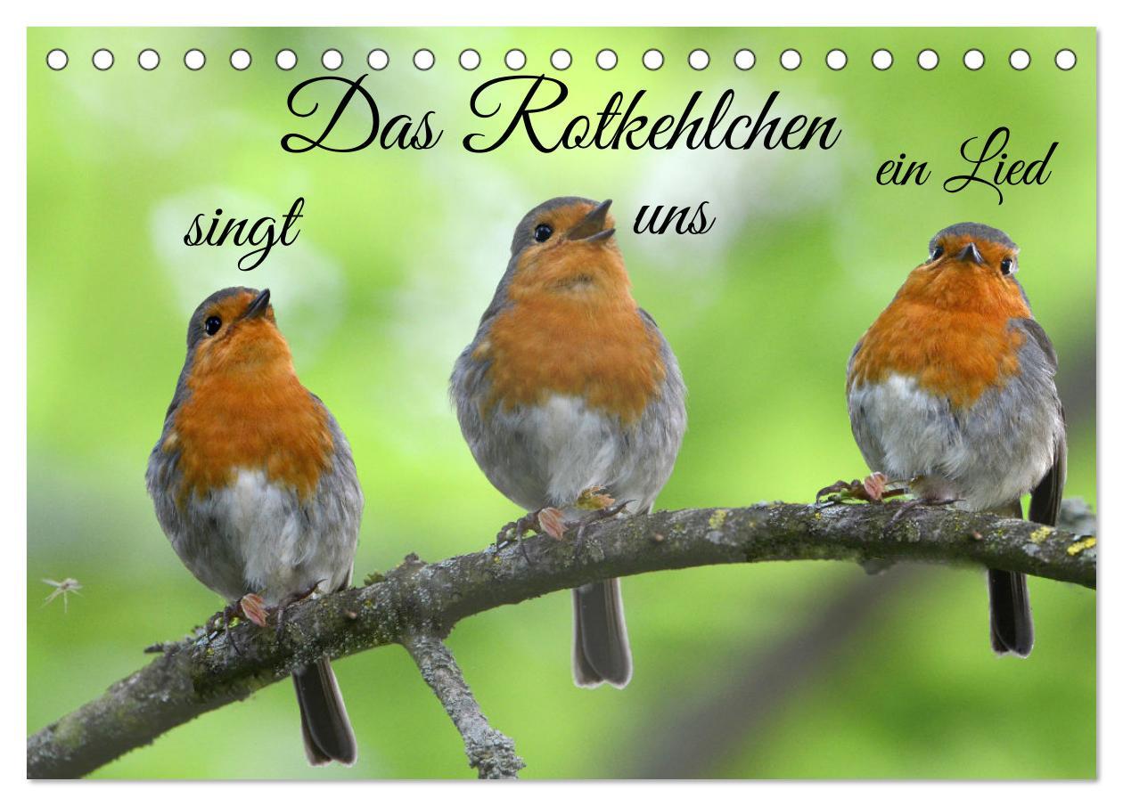 Cover: 9783435254651 | Das Rotkehlchen singt uns ein Lied (Tischkalender 2025 DIN A5...
