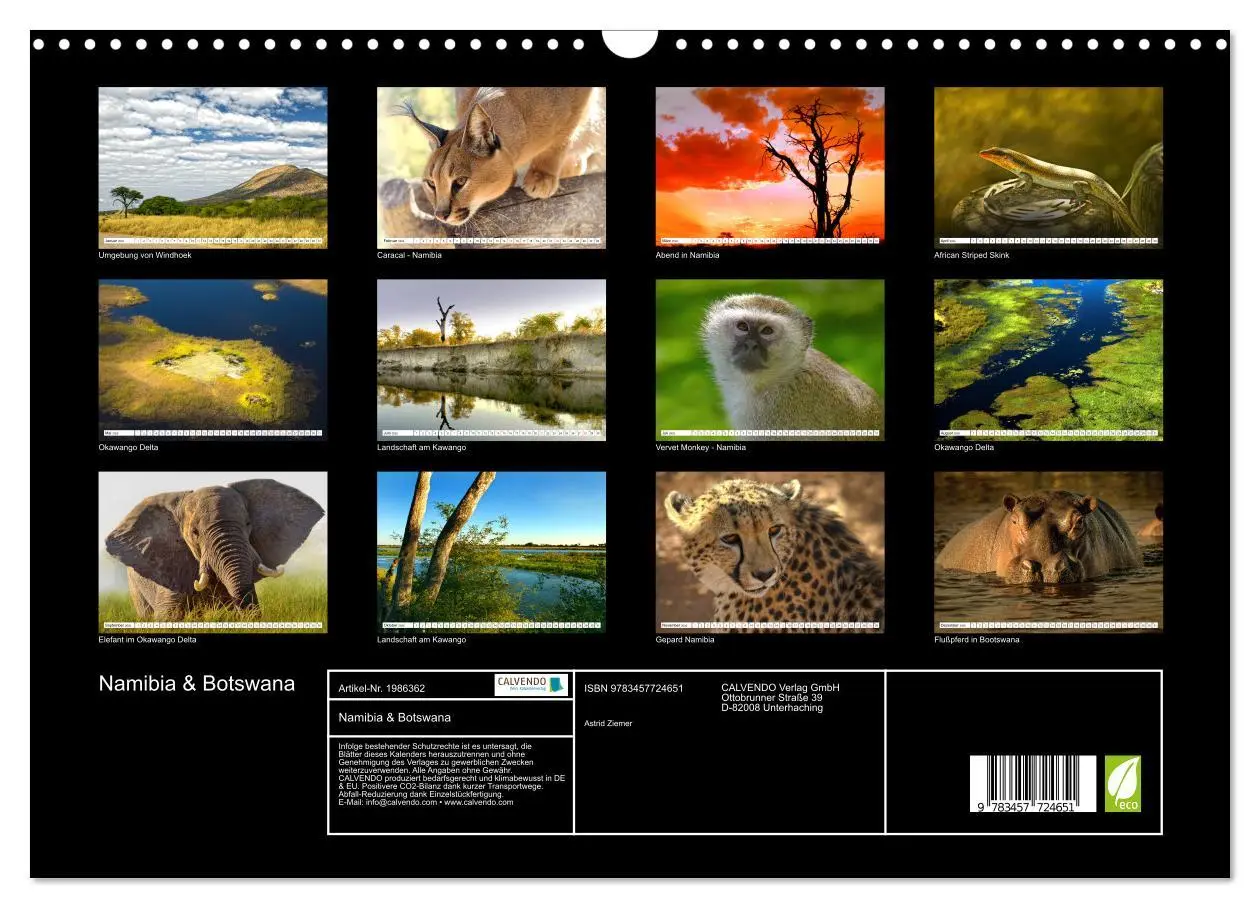 Bild: 9783457724651 | Namibia &amp; Botswana (Wandkalender 2026 DIN A3 quer), CALVENDO...