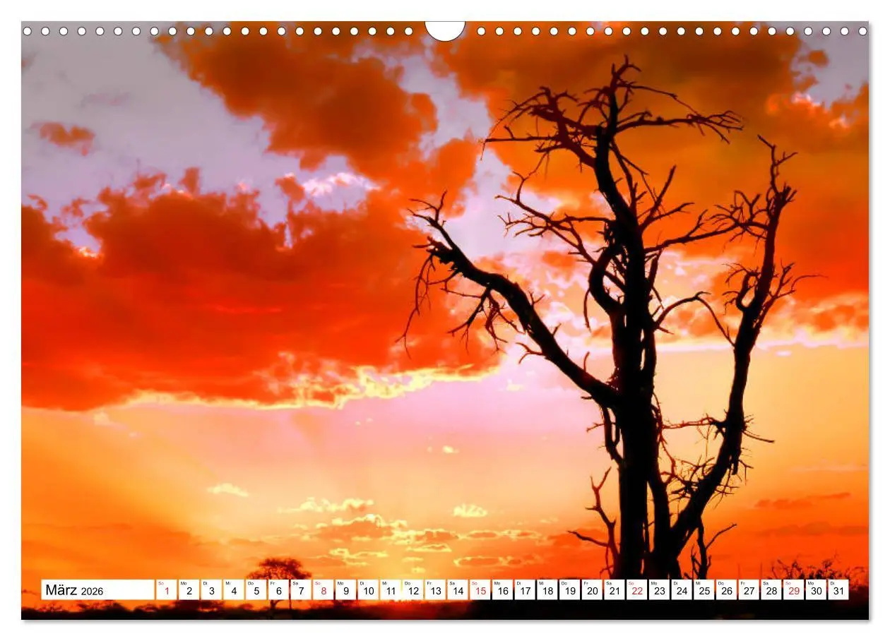 Bild: 9783457724651 | Namibia &amp; Botswana (Wandkalender 2026 DIN A3 quer), CALVENDO...