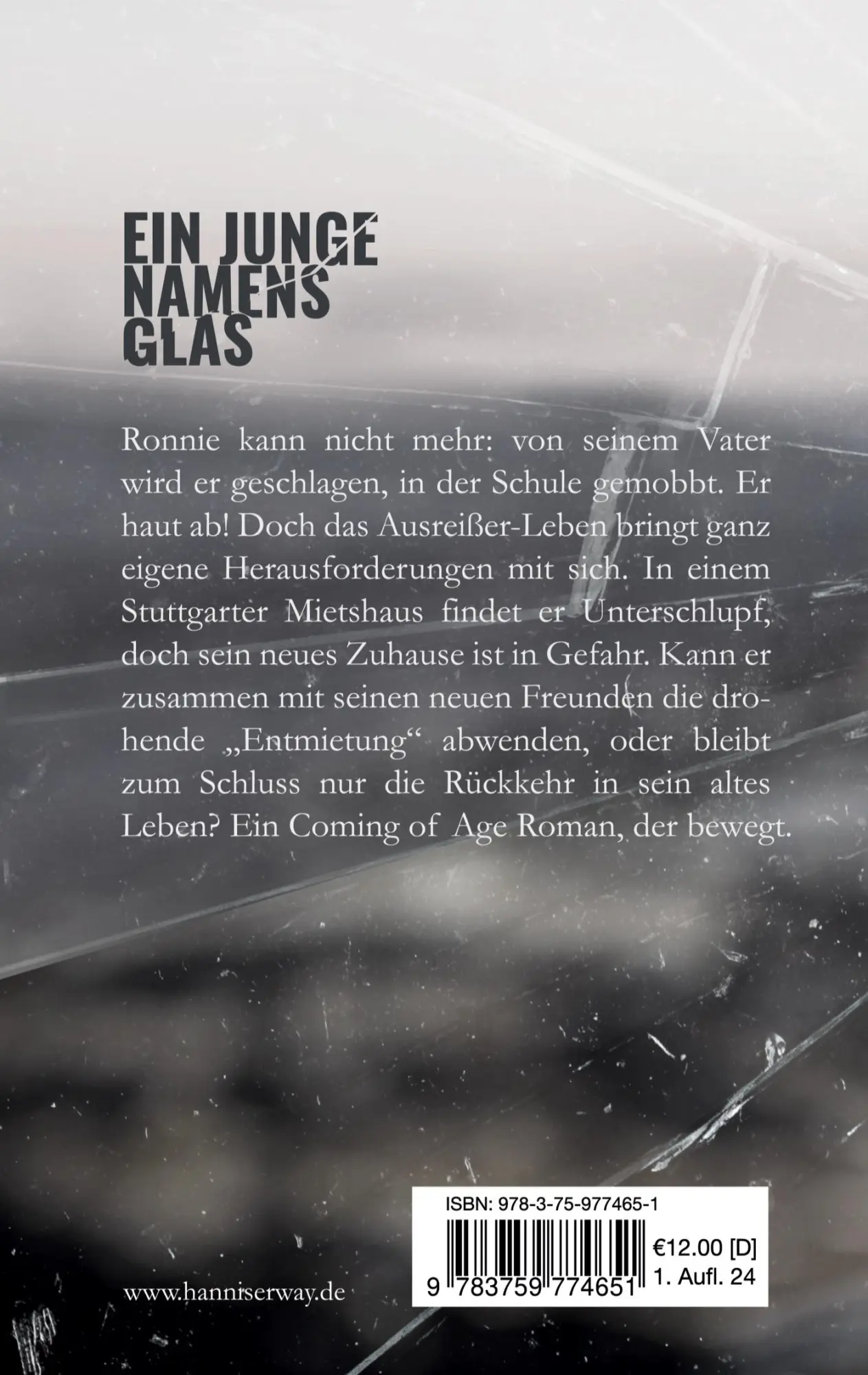Rückseite: 9783759774651 | Ein Junge namens Glas | Hanni Serway | Taschenbuch | 208 S. | Deutsch