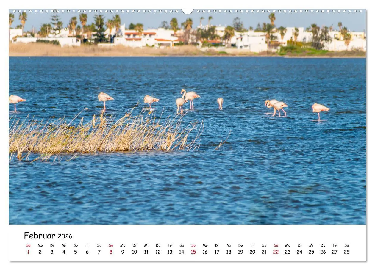 Bild: 9783457644751 | Kos 2026 (Wandkalender 2026 DIN A2 quer), CALVENDO Monatskalender