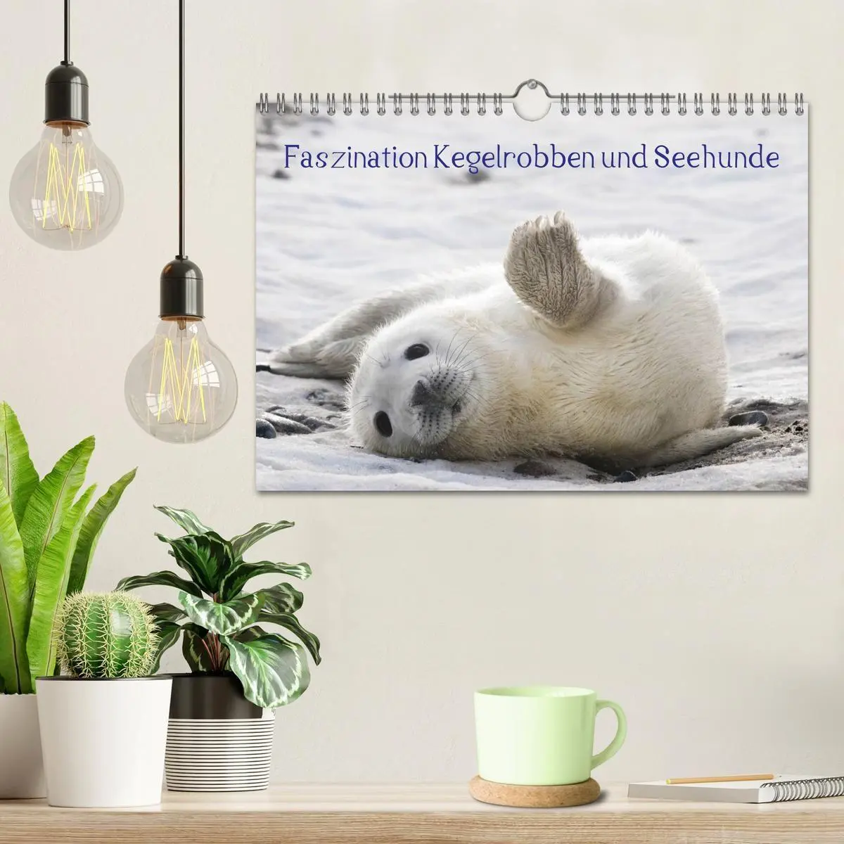 Bild: 9783594024751 | Faszination Kegelrobben und Seehunde 2027 (Wandkalender 2027 DIN A4...