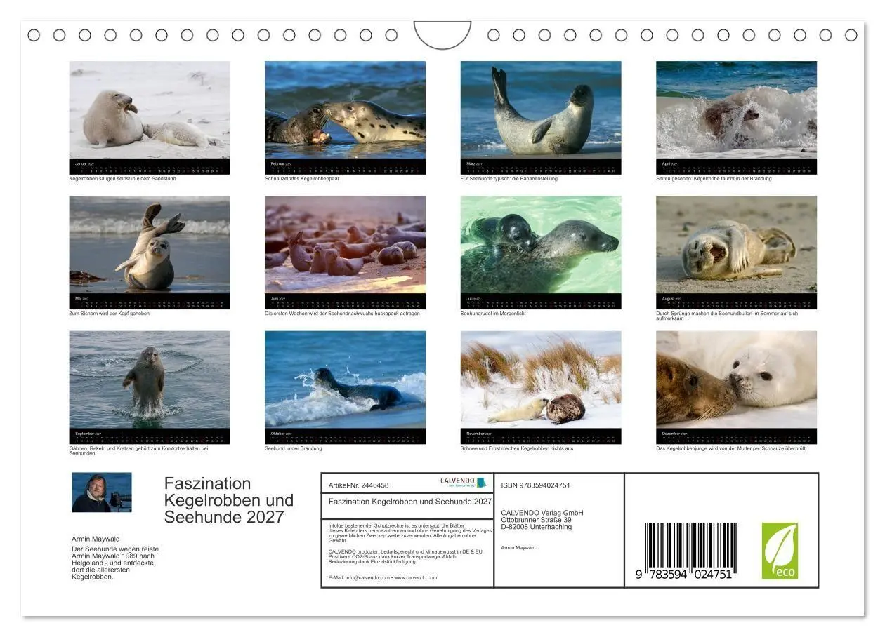 Bild: 9783594024751 | Faszination Kegelrobben und Seehunde 2027 (Wandkalender 2027 DIN A4...