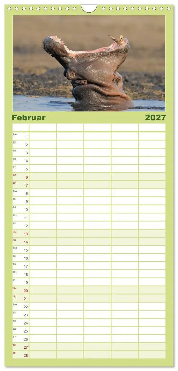 Bild: 9783594334751 | Familienplaner 2027 - Flusspferde Magie des Augenblicks - Hippos in...