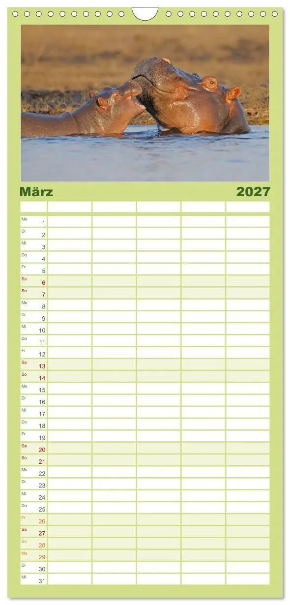 Bild: 9783594334751 | Familienplaner 2027 - Flusspferde Magie des Augenblicks - Hippos in...