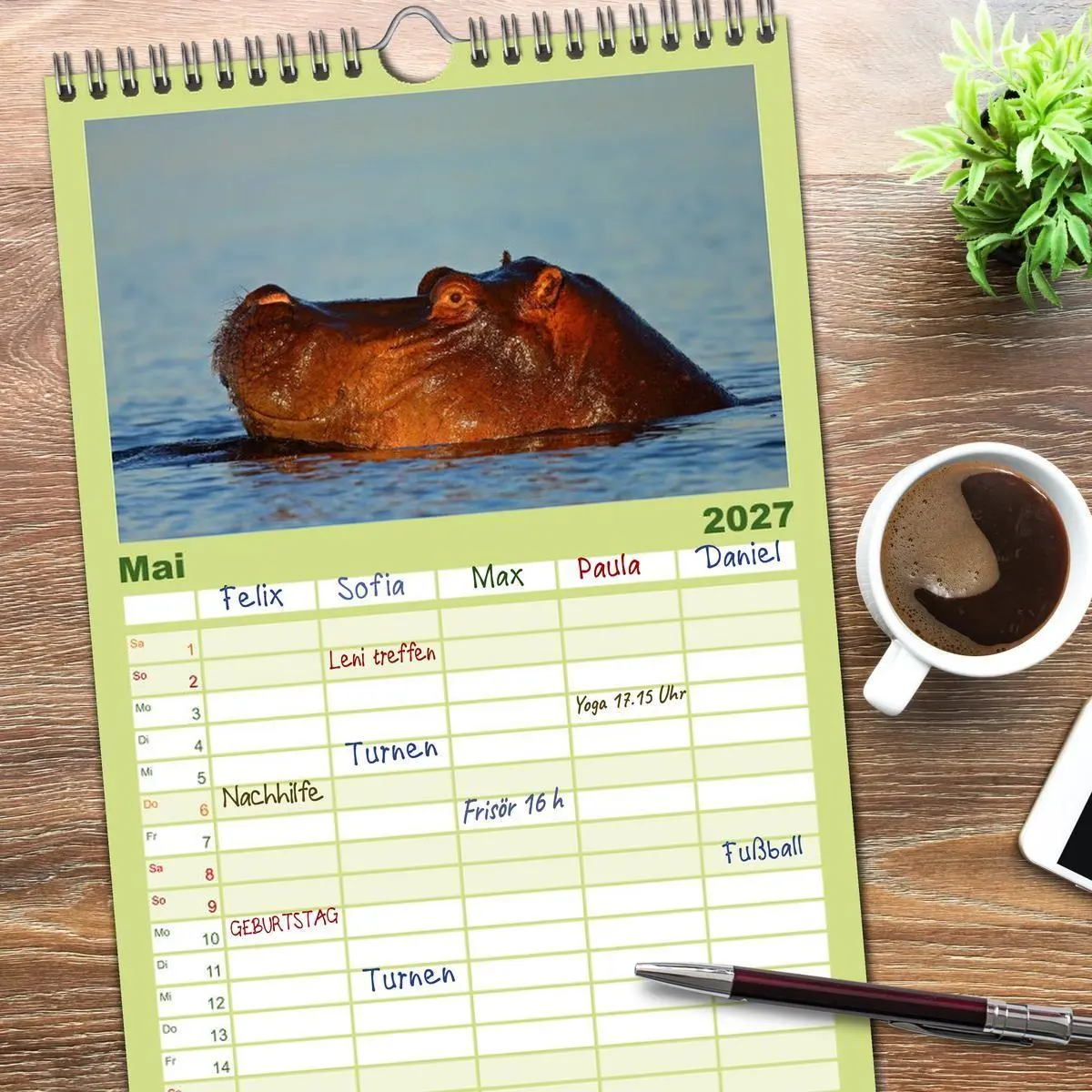 Bild: 9783594334751 | Familienplaner 2027 - Flusspferde Magie des Augenblicks - Hippos in...