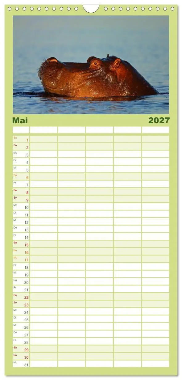 Bild: 9783594334751 | Familienplaner 2027 - Flusspferde Magie des Augenblicks - Hippos in...