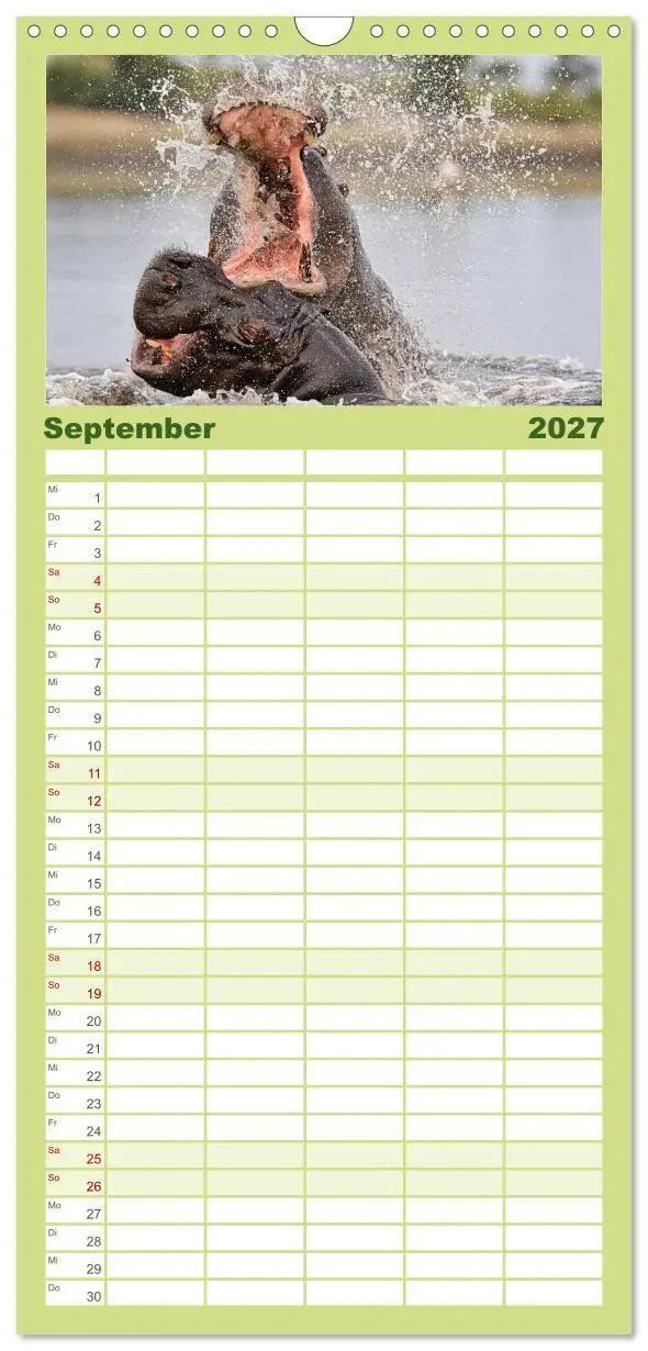 Bild: 9783594334751 | Familienplaner 2027 - Flusspferde Magie des Augenblicks - Hippos in...