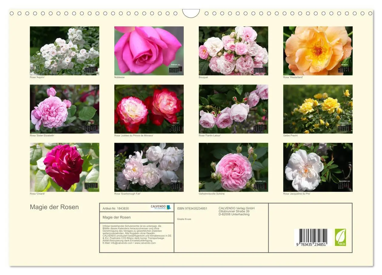 Bild: 9783435234851 | Magie der Rosen (Wandkalender 2025 DIN A3 quer), CALVENDO...