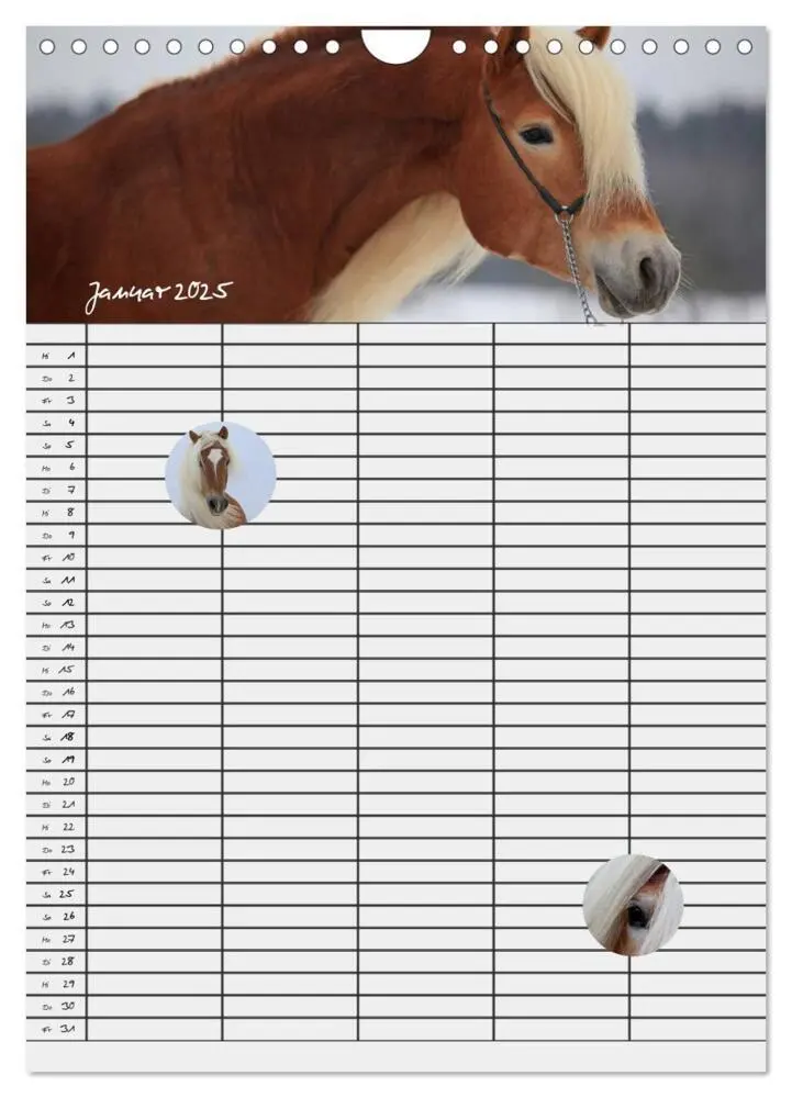 Bild: 9783457014851 | Haflinger Pferde - Stall- und Familienplaner 2025 (Wandkalender...