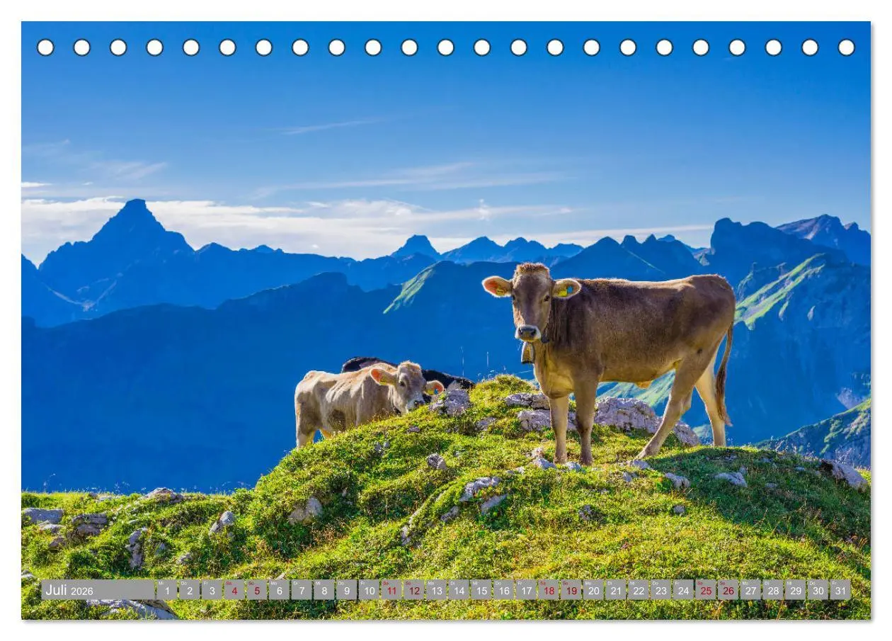 Bild: 9783457874851 | Allgäu-Idylle (Tischkalender 2026 DIN A5 quer), CALVENDO...