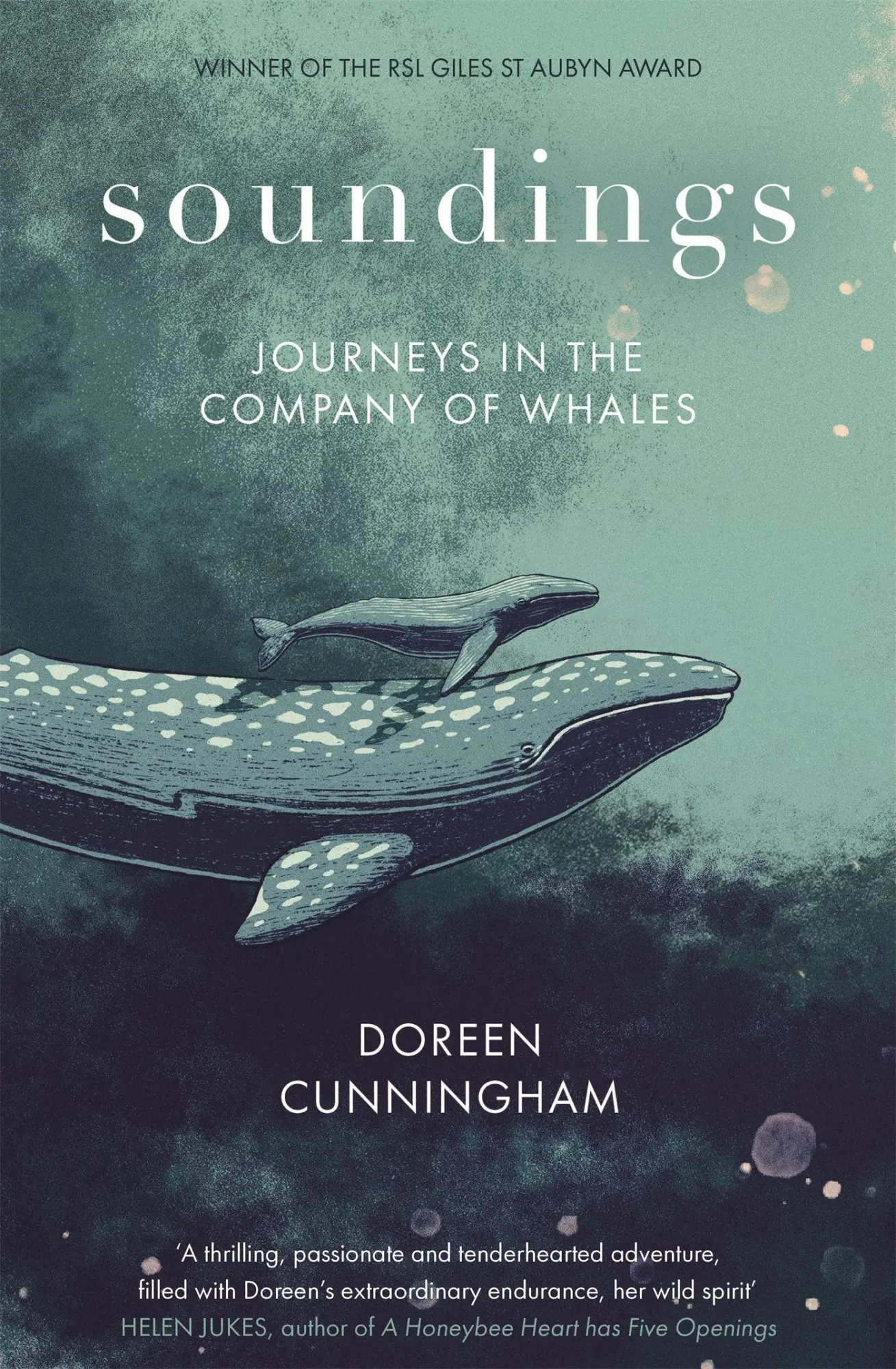 Cover: 9780349014951 | Soundings | Doreen Cunningham | Buch | 320 S. | Englisch | 2022