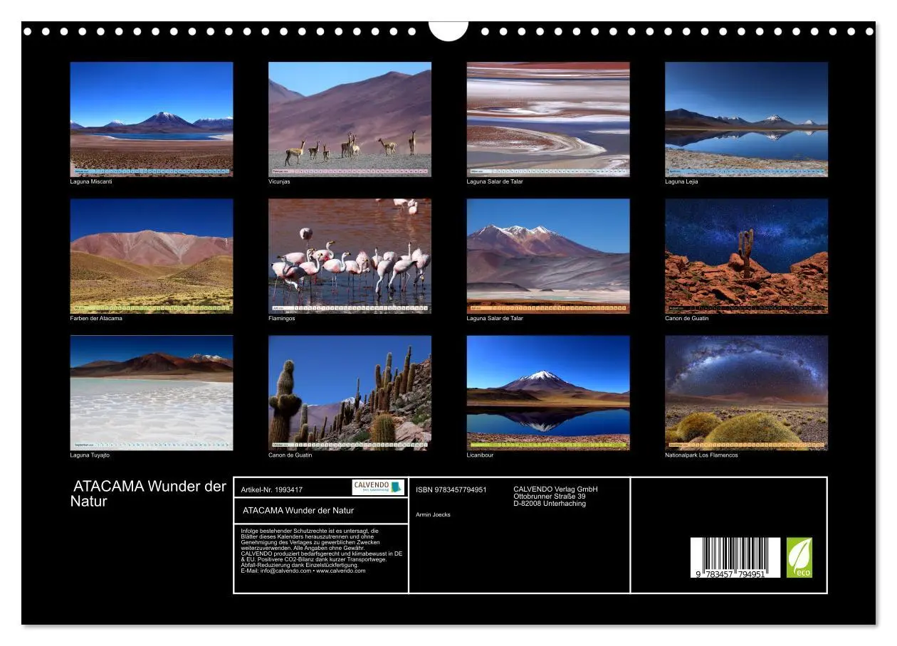 Bild: 9783457794951 | ATACAMA Wunder der Natur (Wandkalender 2026 DIN A3 quer), CALVENDO...