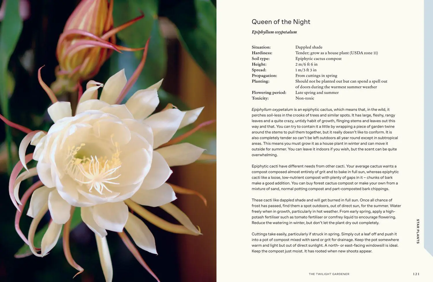 Bild: 9780008725051 | TWILIGHT GARDENER HB | Lia Leendertz | Buch | Englisch | 2026