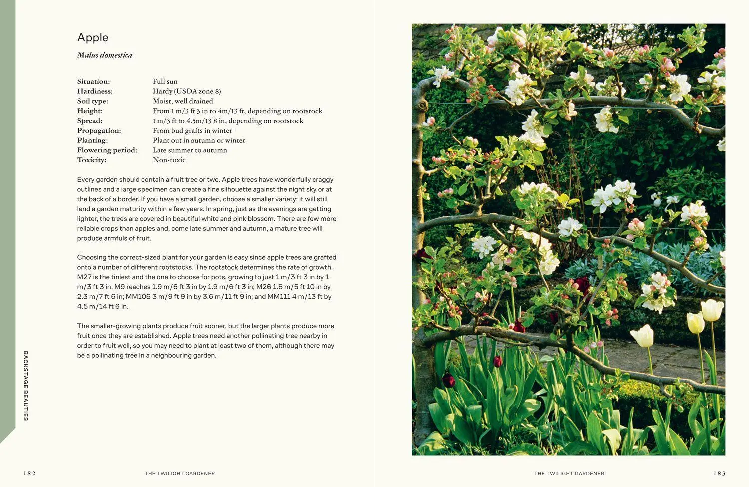 Bild: 9780008725051 | TWILIGHT GARDENER HB | Lia Leendertz | Buch | Englisch | 2026