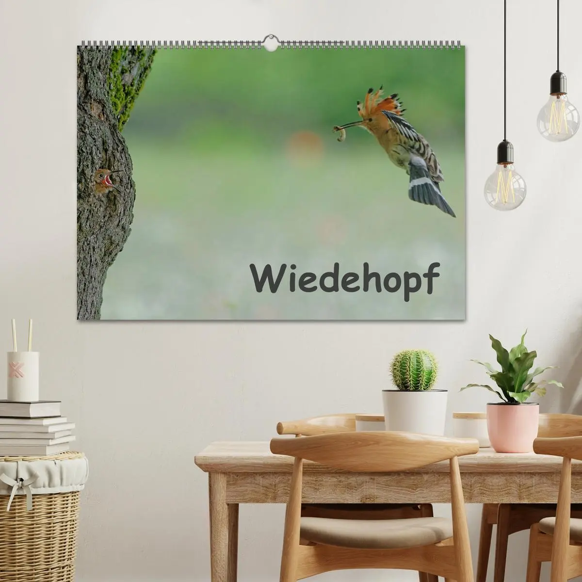 Bild: 9783457995051 | Wiedehopf (Wandkalender 2026 DIN A2 quer), CALVENDO Monatskalender