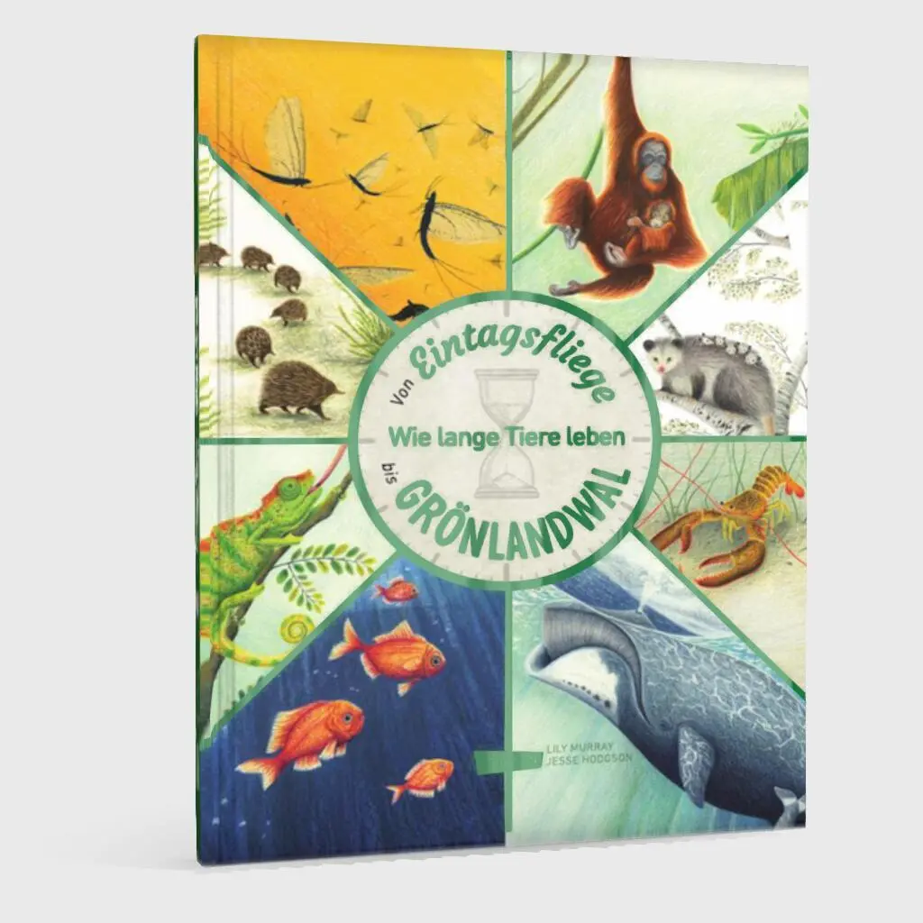 Bild: 9783551255051 | Von Eintagsfliege bis Grönlandwal | Lily Murray | Buch | 64 S. | 2024