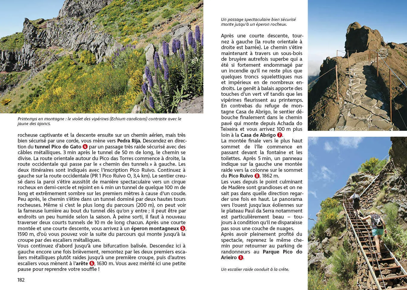 Bild: 9783763355051 | Madère (Rother Guide de randonnées) | Rolf Goetz | Taschenbuch