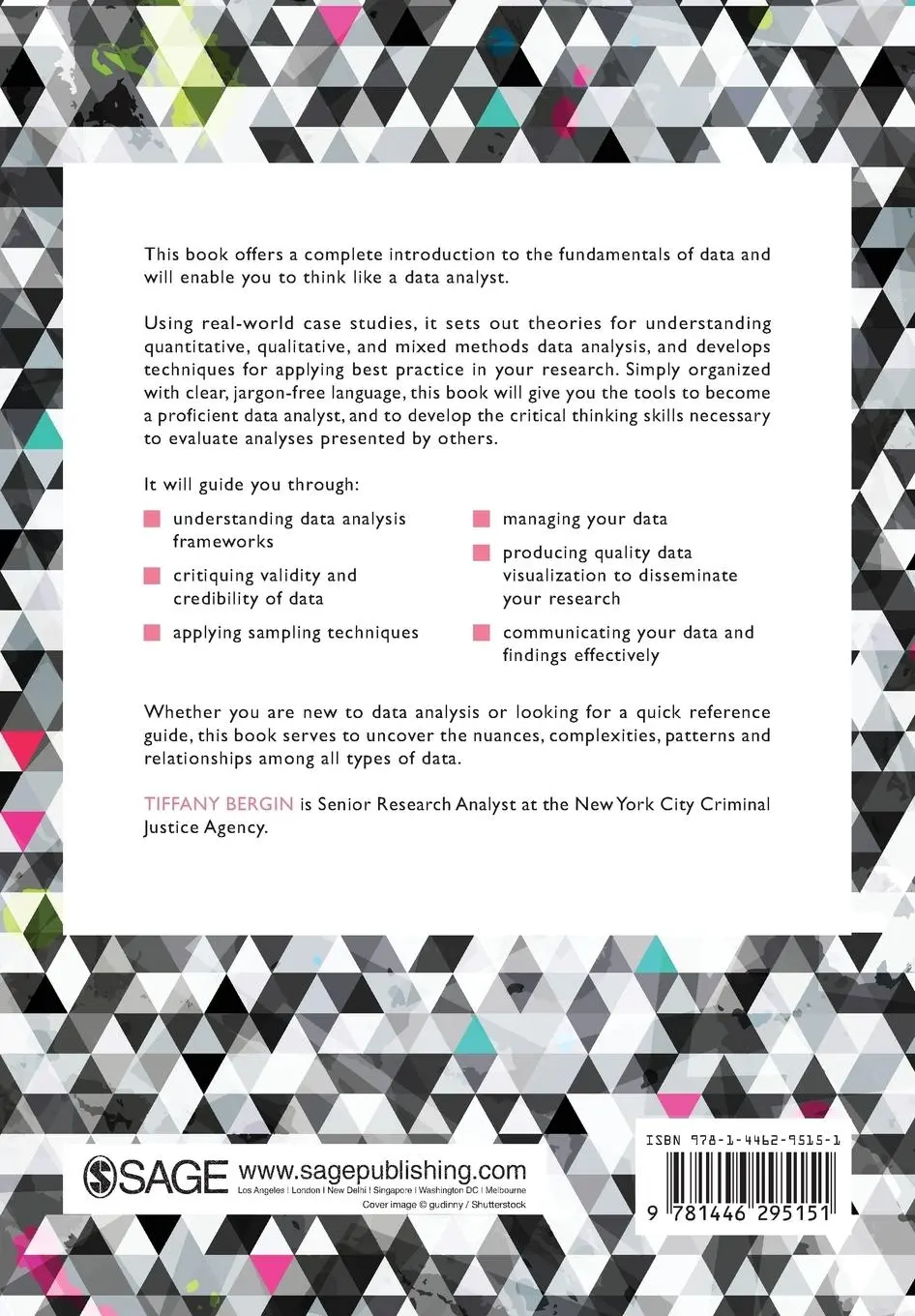 Rückseite: 9781446295151 | An Introduction to Data Analysis | Tiffany Bergin | Taschenbuch | 2018