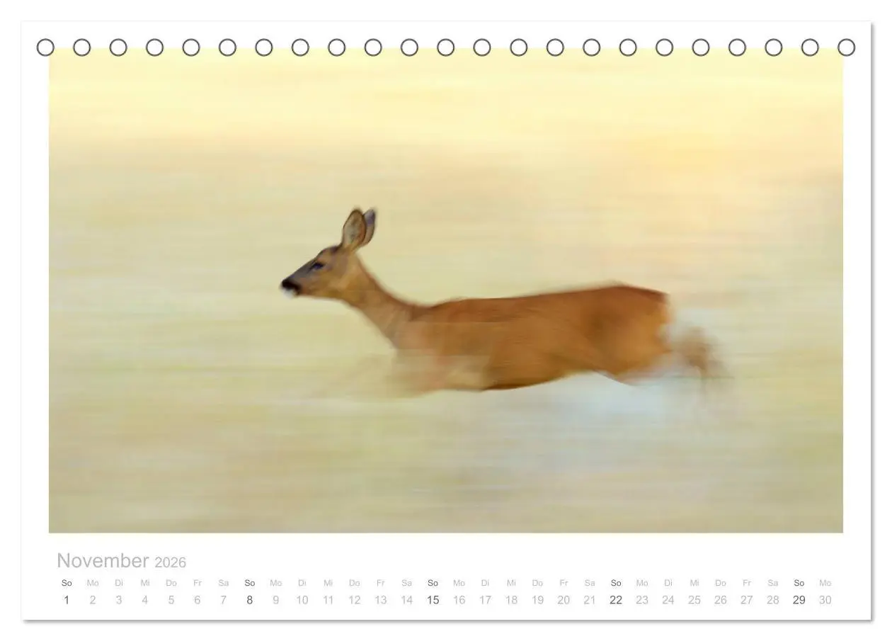 Bild: 9783457675151 | Rehwild 2026 (Tischkalender 2026 DIN A5 quer), CALVENDO Monatskalender