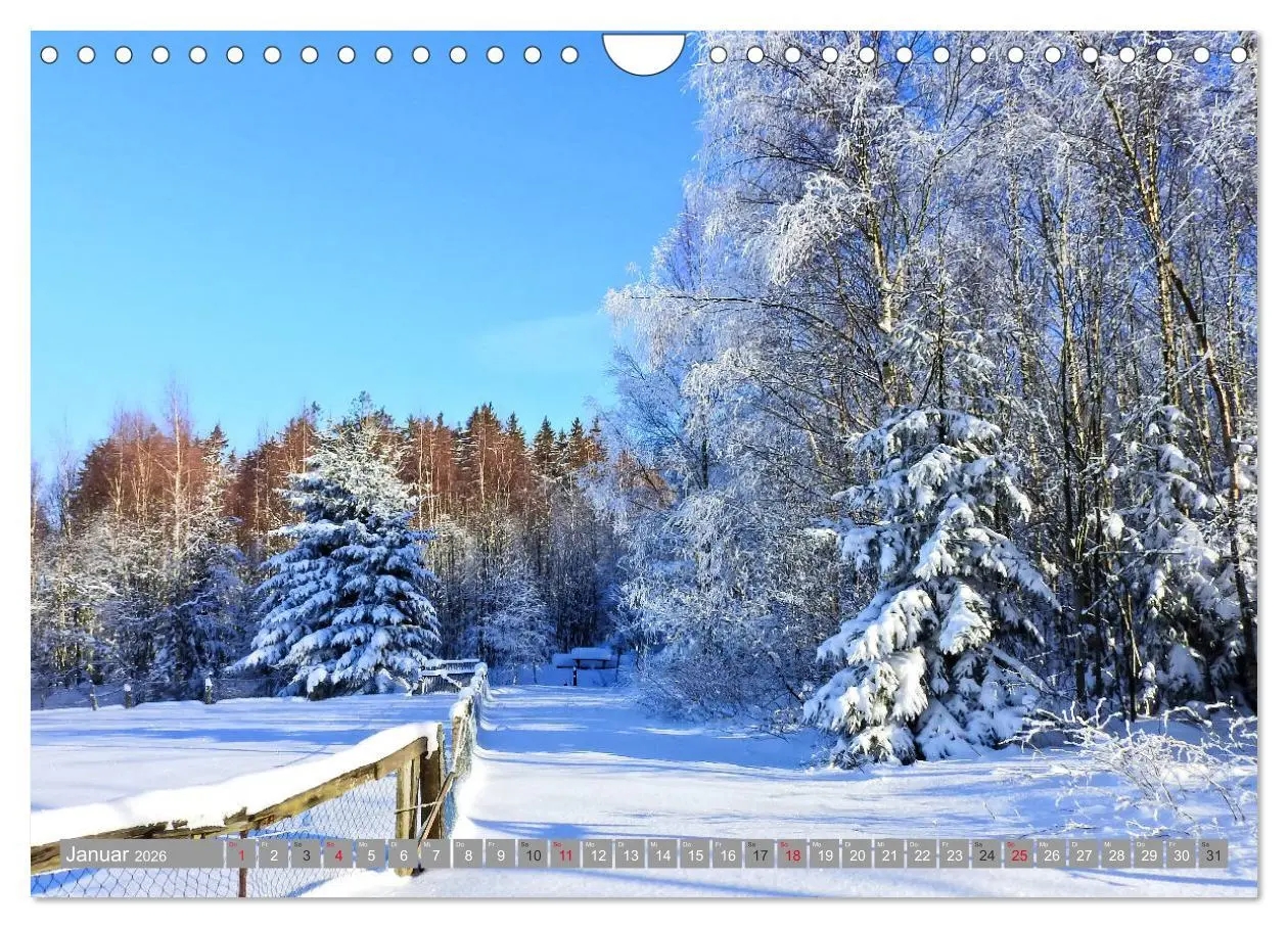 Bild: 9783457815151 | Wandern im Erzgebirge (Wandkalender 2026 DIN A4 quer), CALVENDO...