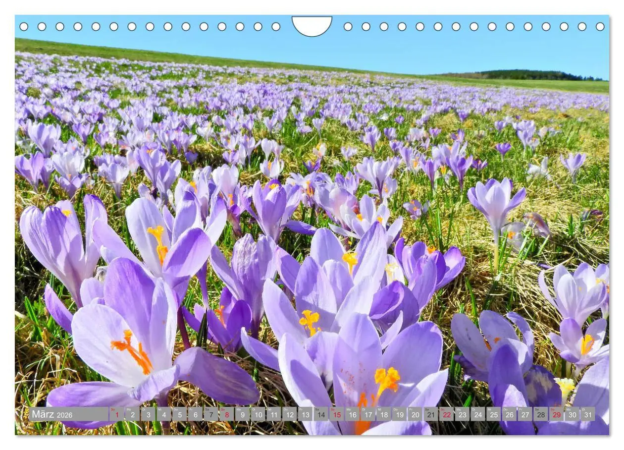 Bild: 9783457815151 | Wandern im Erzgebirge (Wandkalender 2026 DIN A4 quer), CALVENDO...