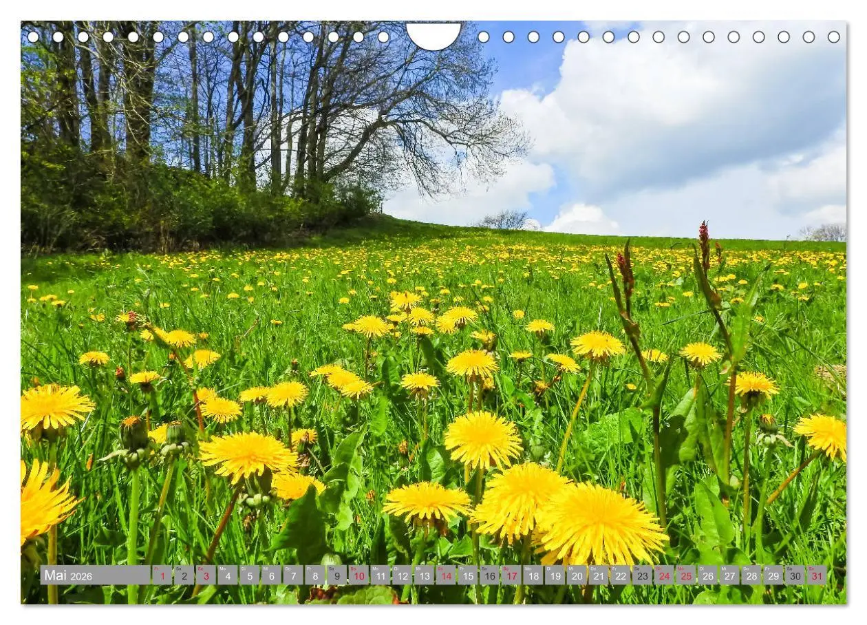 Bild: 9783457815151 | Wandern im Erzgebirge (Wandkalender 2026 DIN A4 quer), CALVENDO...