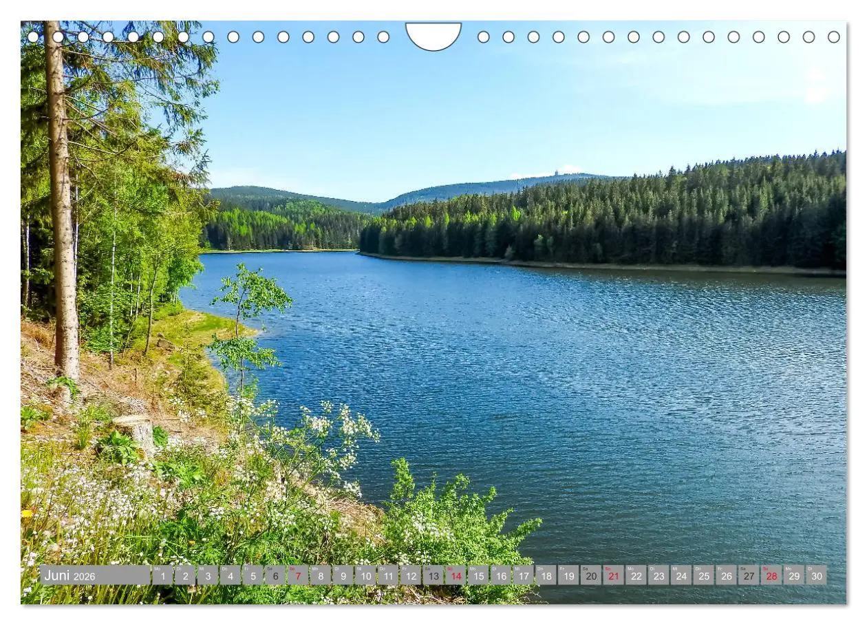 Bild: 9783457815151 | Wandern im Erzgebirge (Wandkalender 2026 DIN A4 quer), CALVENDO...