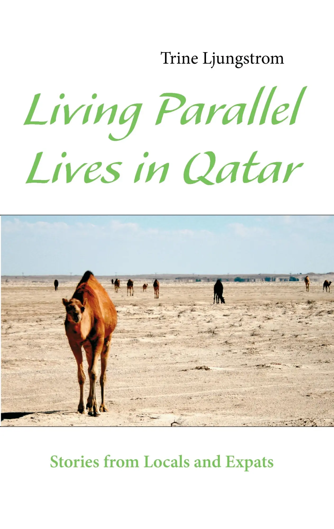 Cover: 9788771455151 | Living Parallel Lives in Qatar | Stories from Locals and Expats | Buch