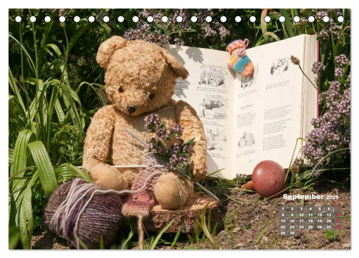 Bild: 9783435575251 | Geliebte Bären - Teddys (Tischkalender 2025 DIN A5 quer), CALVENDO...