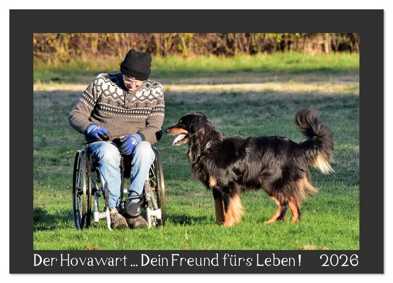 Cover: 9783457805251 | Der Hovawart... Dein Freund fürs Leben ! (Wandkalender 2026 DIN A3...