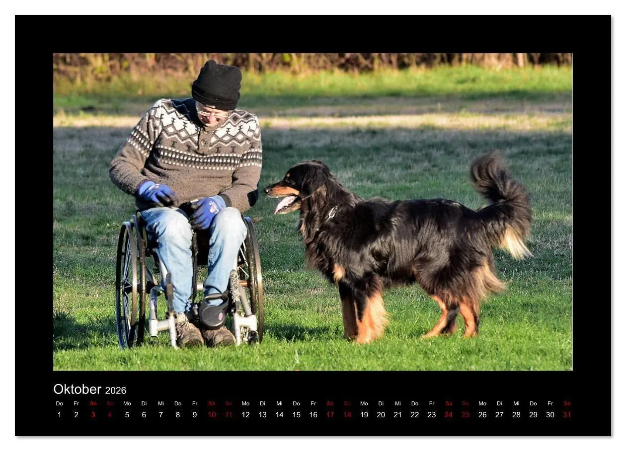 Bild: 9783457805251 | Der Hovawart... Dein Freund fürs Leben ! (Wandkalender 2026 DIN A3...
