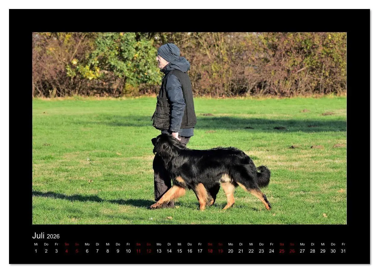 Bild: 9783457805251 | Der Hovawart... Dein Freund fürs Leben ! (Wandkalender 2026 DIN A3...
