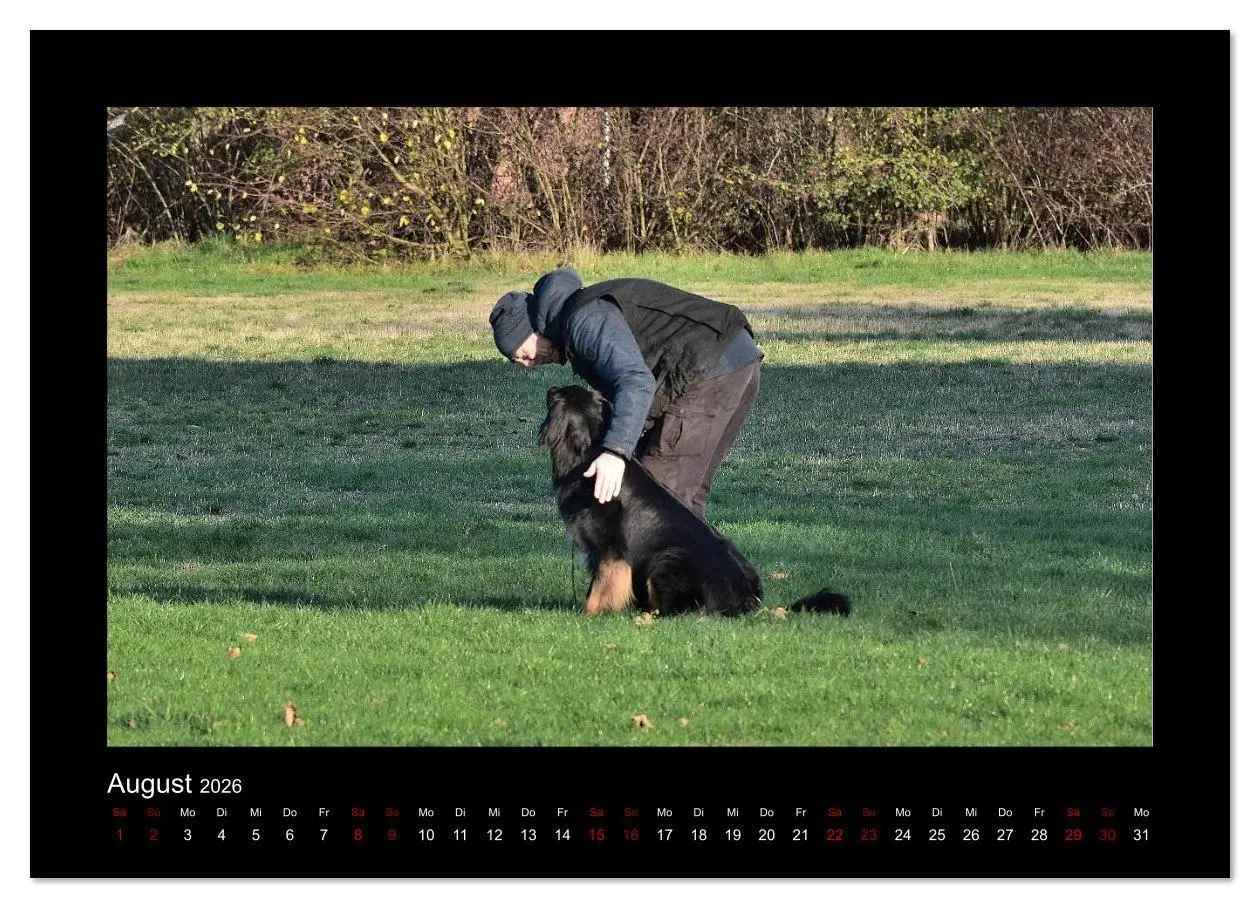 Bild: 9783457805251 | Der Hovawart... Dein Freund fürs Leben ! (Wandkalender 2026 DIN A3...