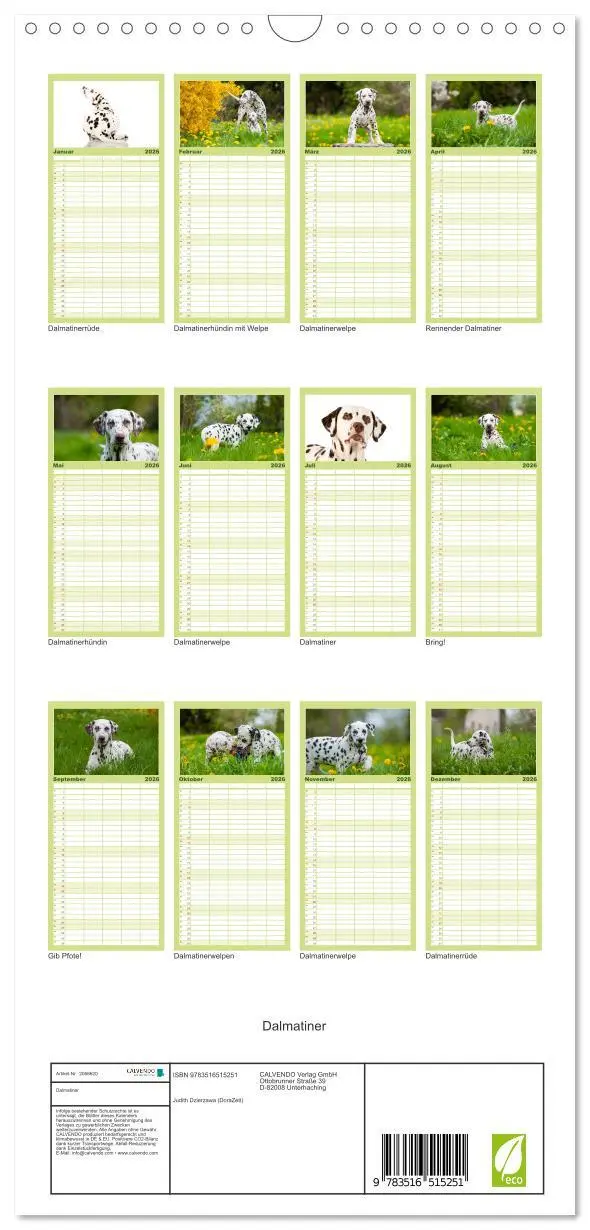 Bild: 9783516515251 | Familienplaner 2026 - Dalmatiner mit 5 Spalten (Wandkalender, 21 x...