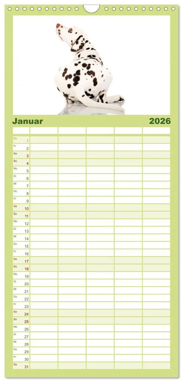 Bild: 9783516515251 | Familienplaner 2026 - Dalmatiner mit 5 Spalten (Wandkalender, 21 x...