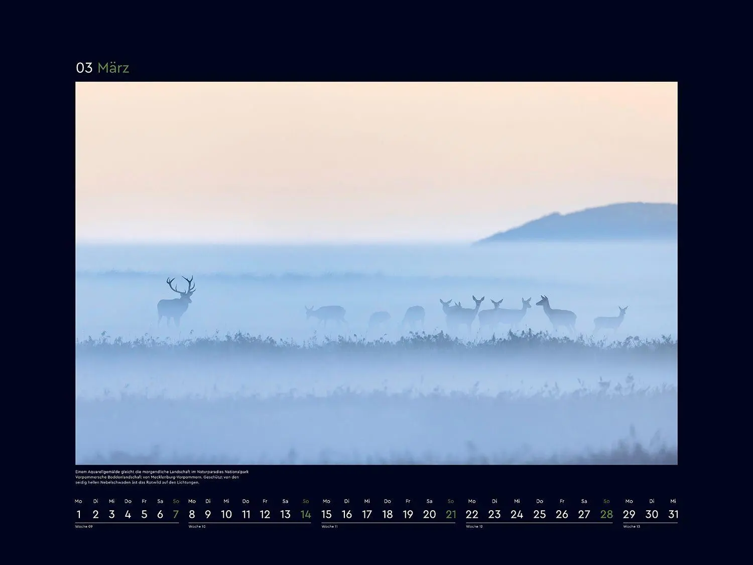 Bild: 9783965915251 | Wildnis Deutschland - KUNTH Wandkalender 2027 | Kalender | 14 S.