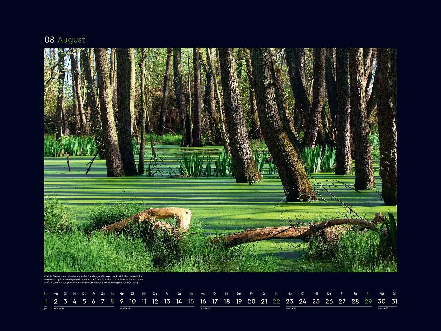 Bild: 9783965915251 | Wildnis Deutschland - KUNTH Wandkalender 2027 | Kalender | 14 S.