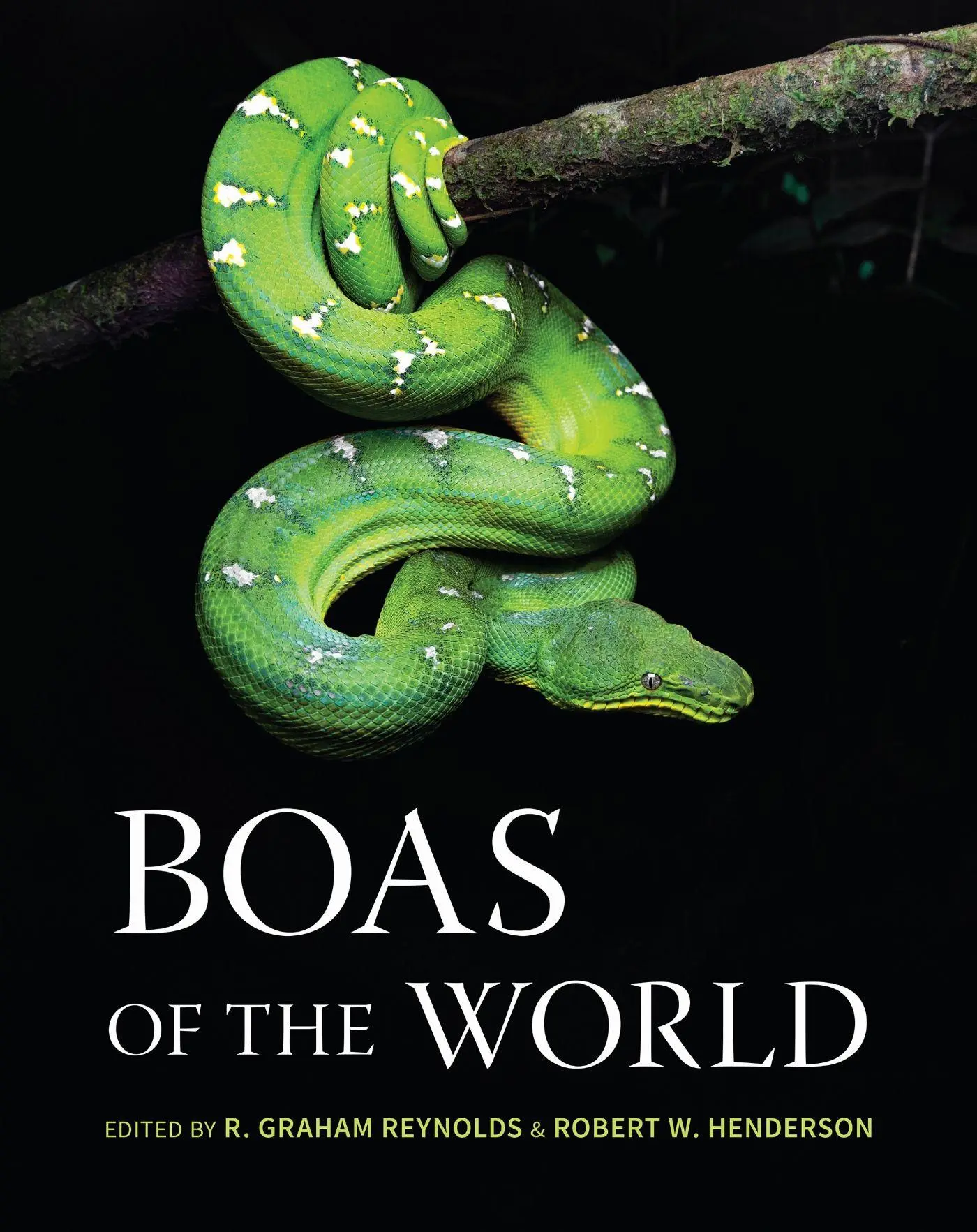 Cover: 9781501785351 | Boas of the World | Robert Graham Reynolds (u. a.) | Buch | Englisch