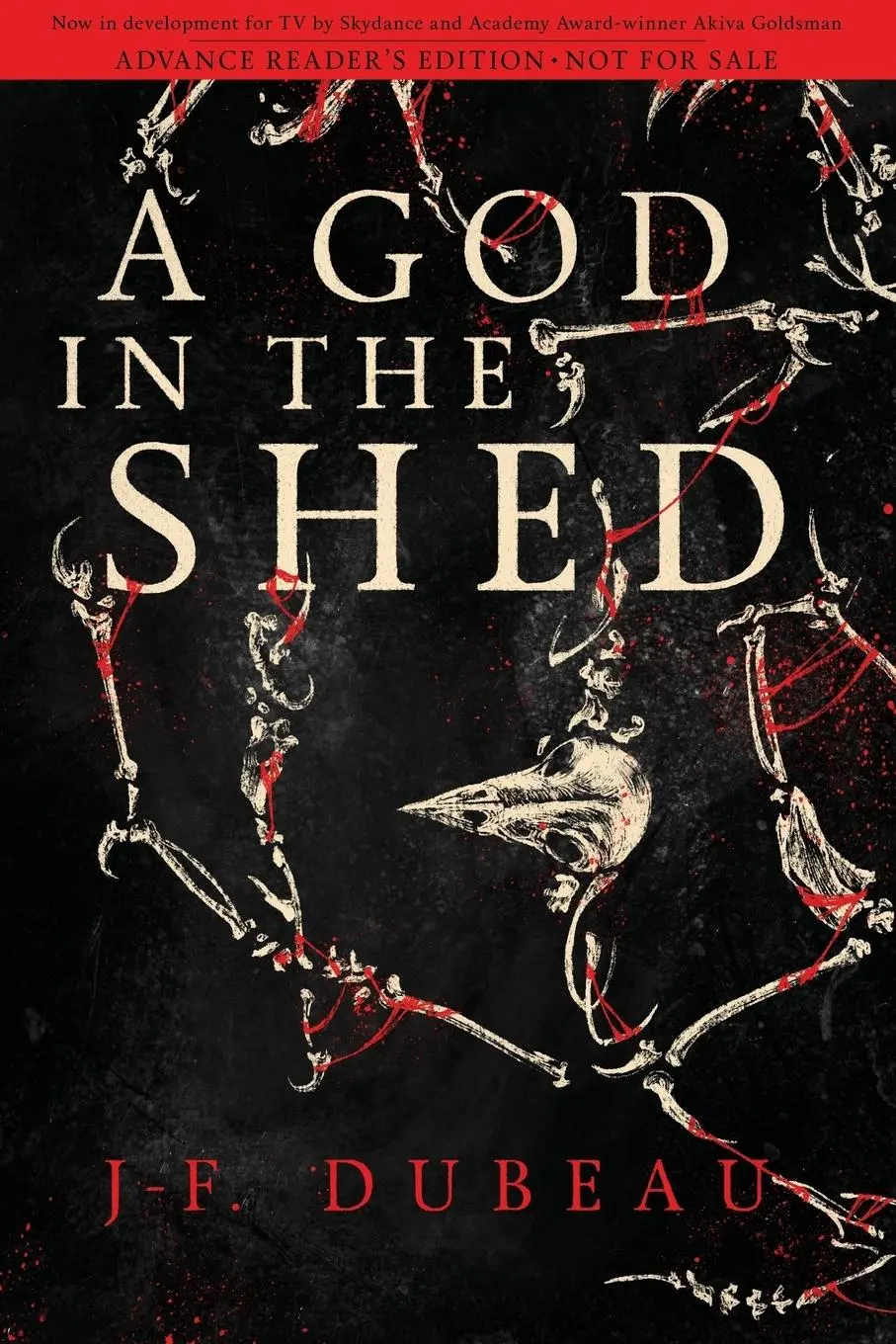 Cover: 9781942645351 | A God in the Shed | J-F Dubeau | Taschenbuch | Kartoniert / Broschiert
