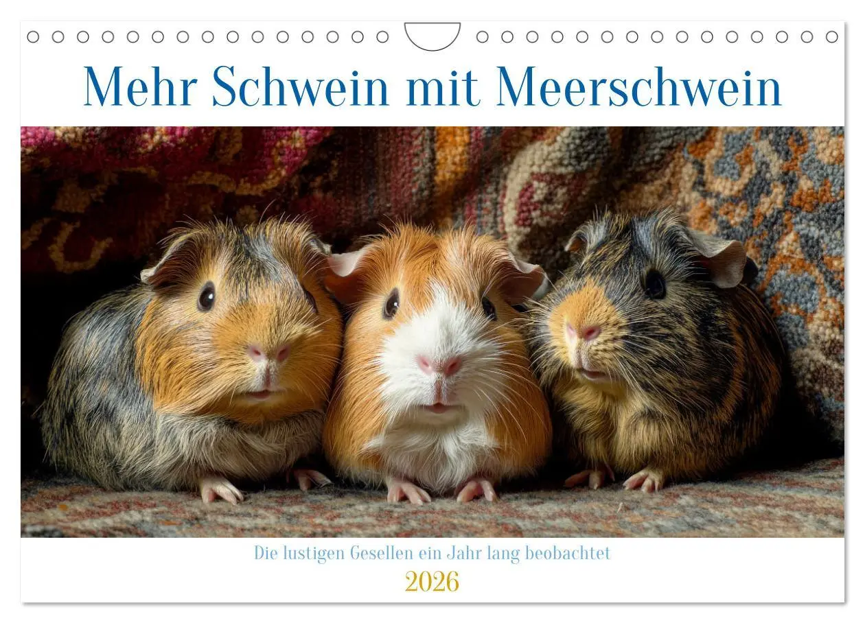 Cover: 9783457275351 | Mehr Schwein mit Meerschwein (Wandkalender 2026 DIN A4 quer),...