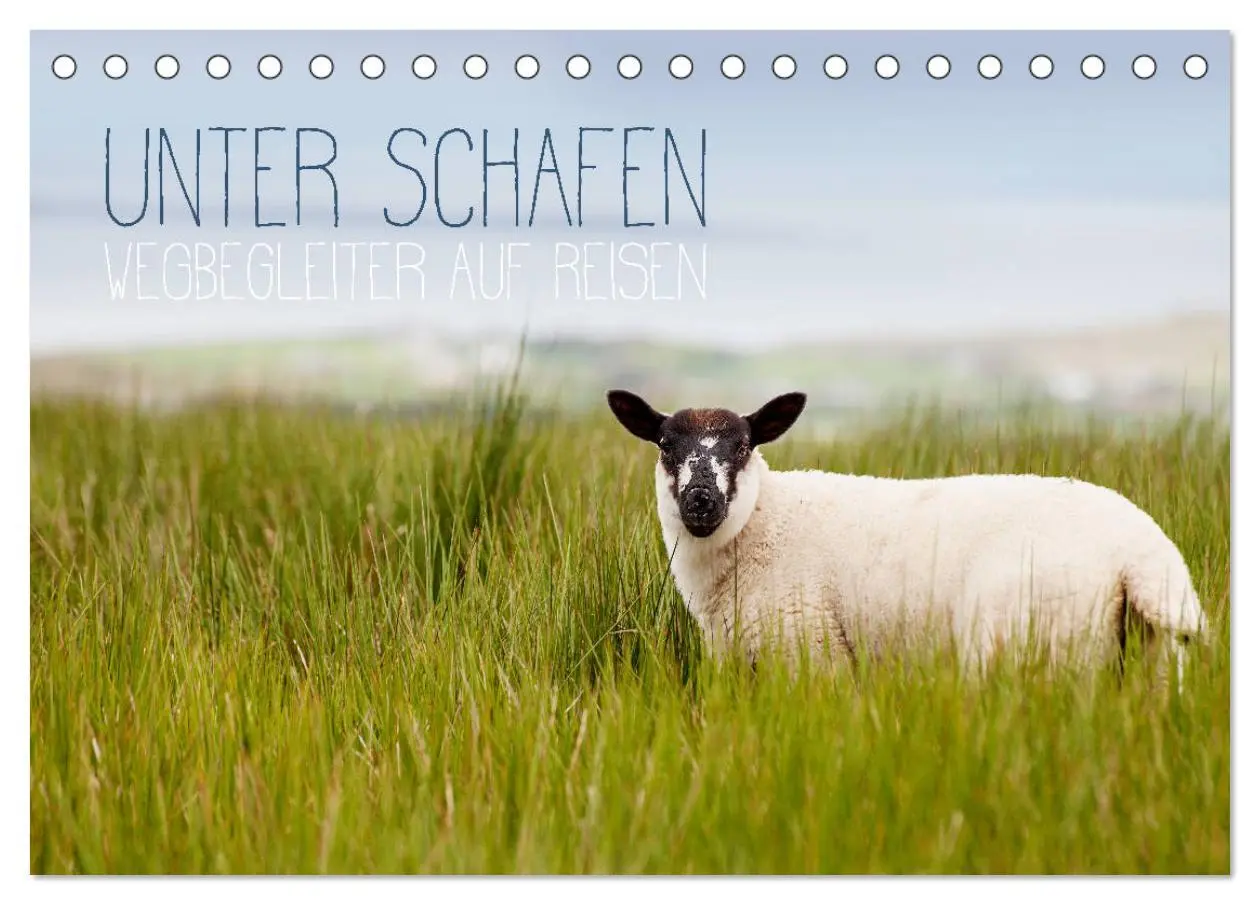 Cover: 9783457895351 | Unter Schafen - Wegbegleiter auf Reisen (Tischkalender 2026 DIN A5...