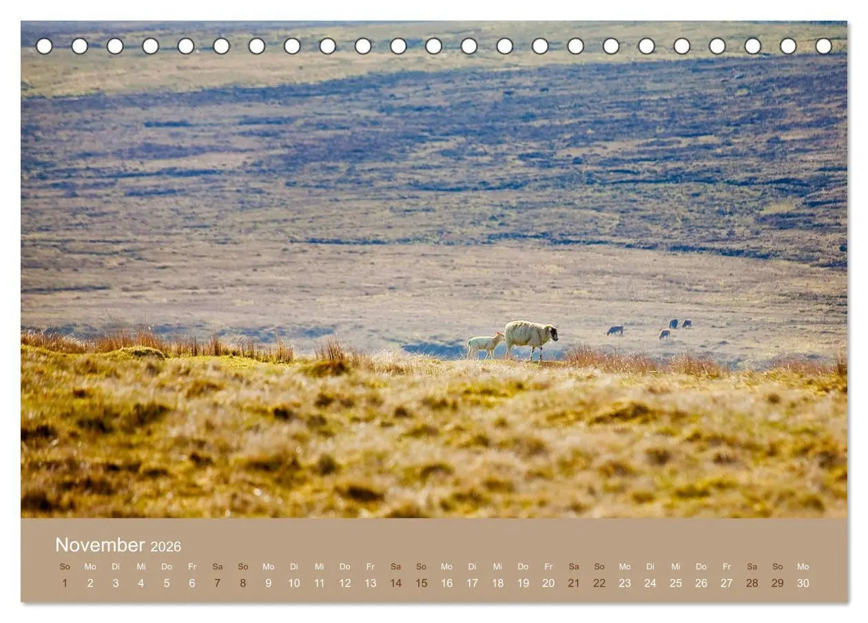 Bild: 9783457895351 | Unter Schafen - Wegbegleiter auf Reisen (Tischkalender 2026 DIN A5...